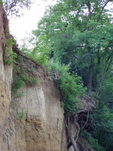 Přírodní památka Olšava - 30.8.2006